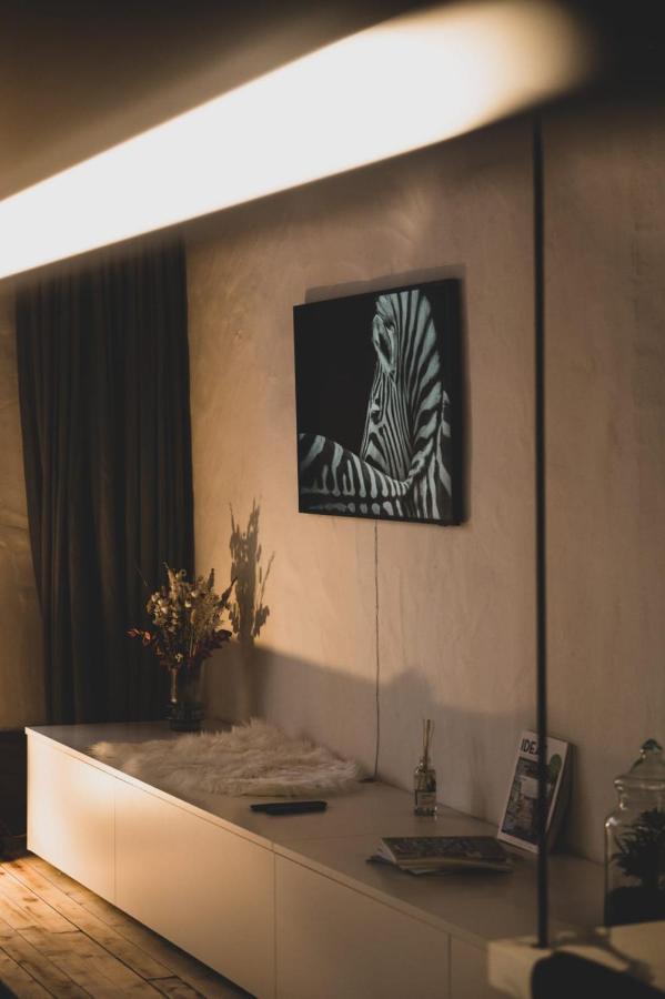 L'Appart' - Ideal For A Stay In The City Center Near The Lake Анси Экстерьер фото